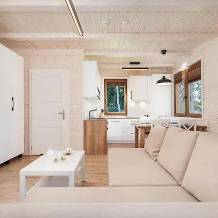 Comfortable No 7 , Summer Pool Rewal